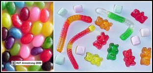 gummy1b.jpg