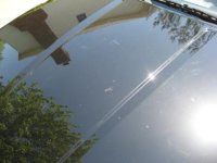 Hood_In_Sun_2.JPG