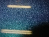 DSC08126 (Medium).JPG