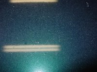 DSC08127 (Medium).JPG