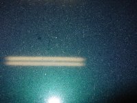 DSC08128 (Medium).JPG