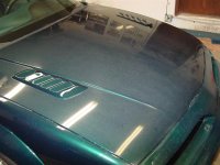 DSC08119 (Medium).JPG