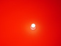 DSC00663.JPG