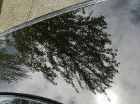 HPIM0811.JPG