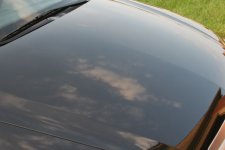 IMG_4952_2.jpg