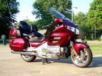 ZainoGoldwing2.jpg