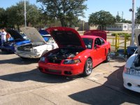 MUSTANGSHOW 011.jpg