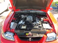 MUSTANGSHOW 012.jpg
