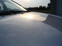 IMG_3428 (Large).JPG