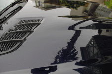 car2.gif