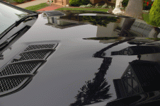 car3.gif