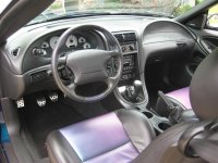 gotstang 005 (Large).jpg
