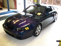 gotstang 063 (Large).jpg