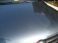 IMG_0543b.jpg