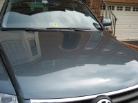 IMG_0545b.jpg