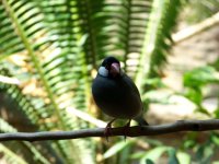 100_0425 compressed.JPG