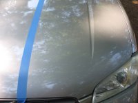 maxima-shine.jpg