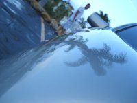 DSC01363.jpg