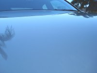 DSC01364.jpg