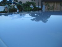 DSC01371.jpg