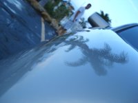 DSC01363.jpg