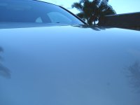 DSC01365.jpg