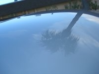 DSC01370.jpg