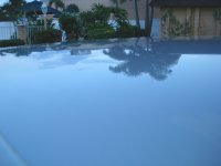 DSC01371.jpg