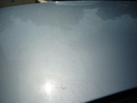 Before Trunk 02_resize.JPG