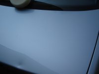 After Trunk 01_resize.JPG