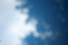 IMG_0101.JPG