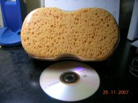 sponge.jpg
