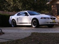car4.jpg