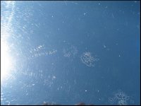 etching.JPG