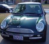 DSC02990.jpg