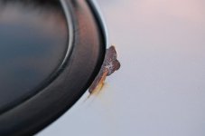 DSC_0303.JPG