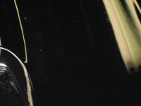 pic2.jpg