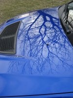IMG_0271.jpg