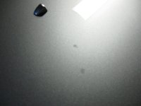 spot7.jpg