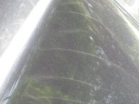 img1209m.jpg
