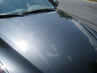 img1207e.jpg