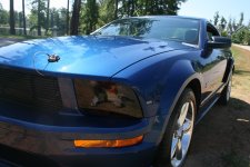 Mustang Pics 005 web.jpg