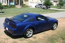 Mustang Pics 006 web.jpg