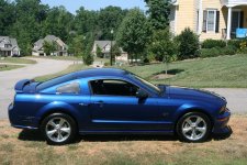 Mustang Pics 008 web.jpg