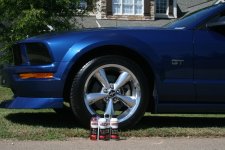 Mustang Pics 009 web.jpg