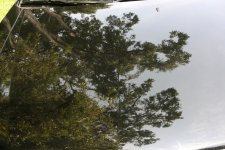 Hood reflection 2.jpg
