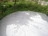 P7050007.jpg
