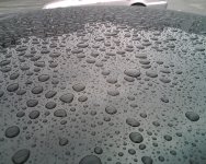 IMG00092.jpg