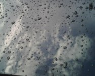 IMG00125.jpg