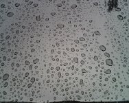 IMG00123.jpg